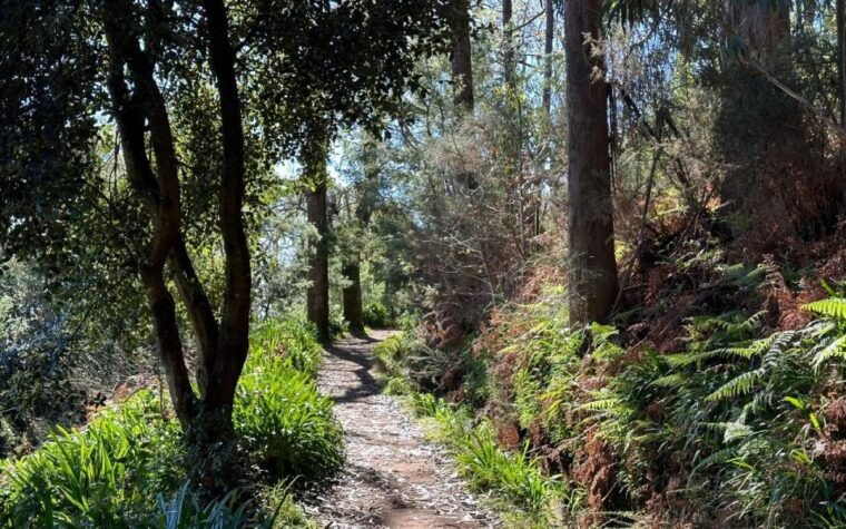 discover-the-paradise-valley-a-quick-escape-for-everyone
