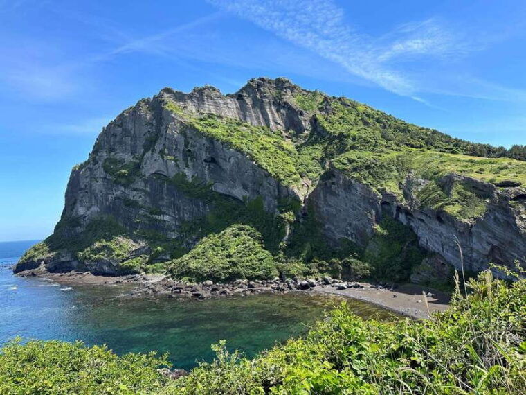 east-jeju-cherry-blossom-tangerine-picking-small-group-tour