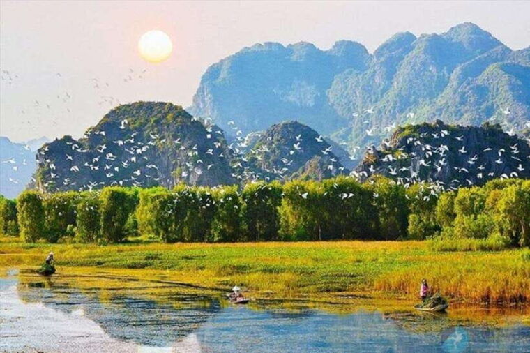 explore-ninh-binh-van-long-hoa-lu-mua-cave