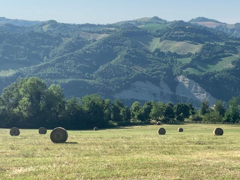 farm-stay-experience-dozza-private-day-tour-from-bologna