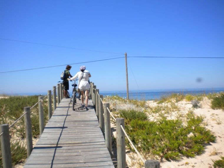 faro-bike-tour-through-the-beautiful-ria-formosa