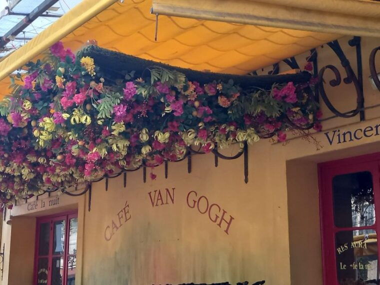from-avignon-in-the-footsteps-of-van-gogh-in-provence