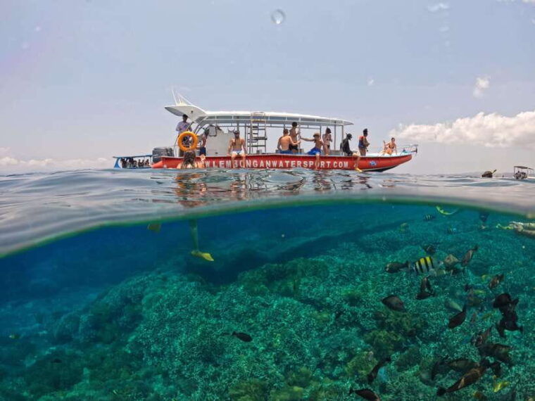 from-bali-half-day-snorkeling-3-spots-to-lembongan-penida