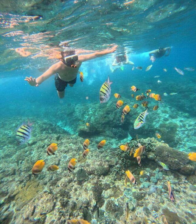 from-bali-nusa-penida-full-day-tour-and-snorkeling-3-spots