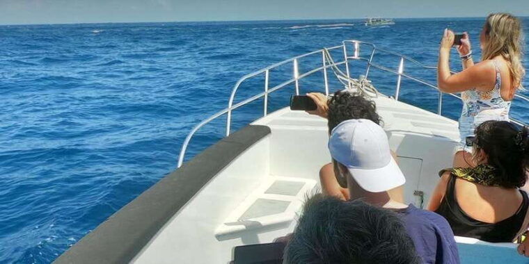 from-bali-nusa-penida-manta-point-snorkeling-and-land-tour