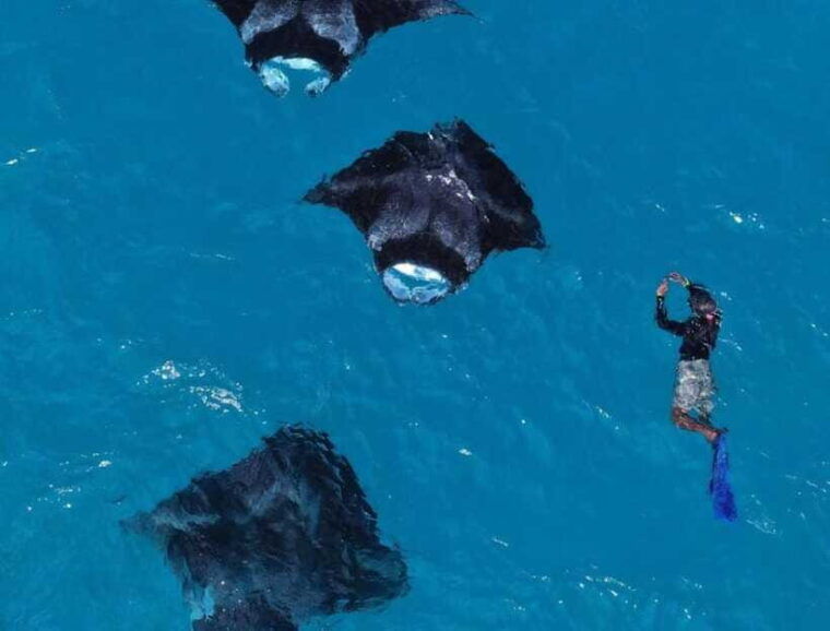from-bali-nusa-penida-snorkeling-and-west-coast-tour