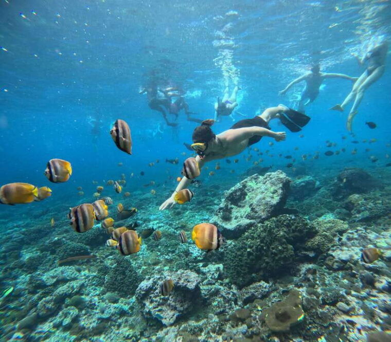 from-bali-snorkeling-at-manta-point-nusa-penida-land-tour