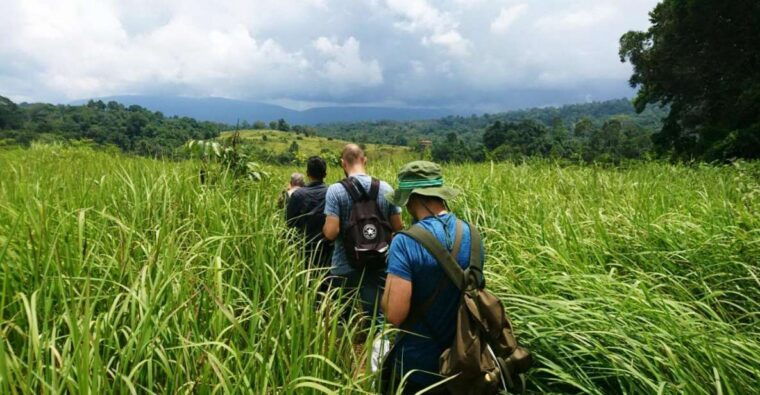 from-bangkok-khao-yai-national-park-jungle-trek-with-lunch