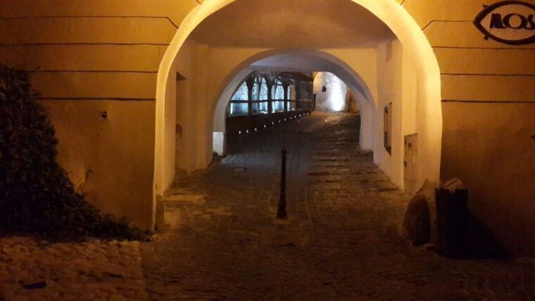 from-brasov-sighisoara-and-viscri-unesco-day-tour