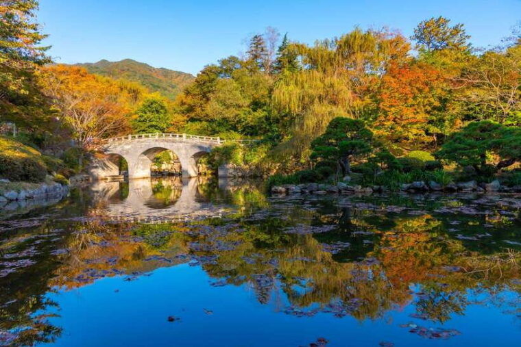 from-busan-gyeongju-historical-day-tour-with-sky-capsule