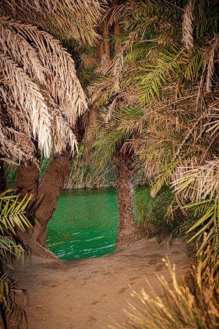 from-chania-day-trip-to-preveli-beach-damnoni-beach