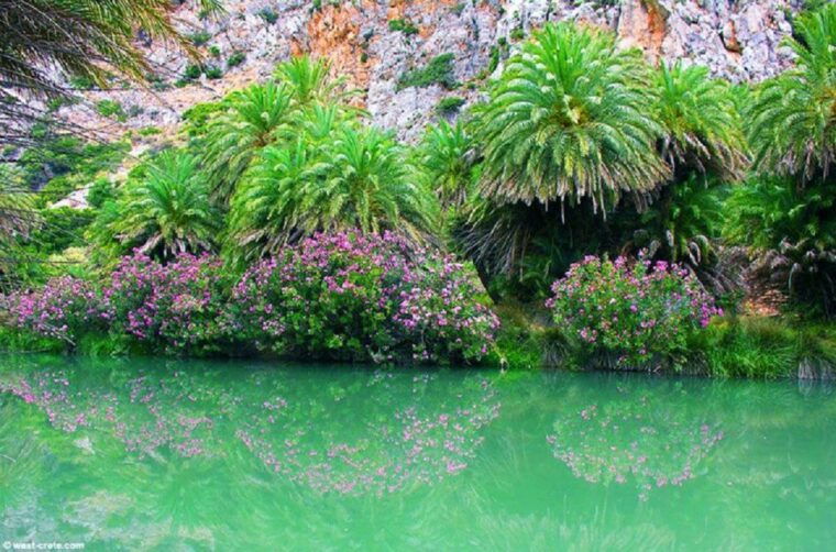 from-chania-day-trip-to-preveli-palm-beach