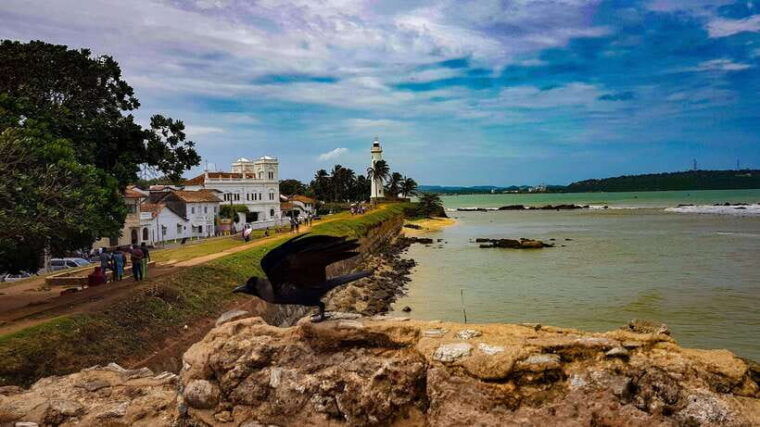 from-colombo-2-day-southern-coast-wildlife-heritage-tour