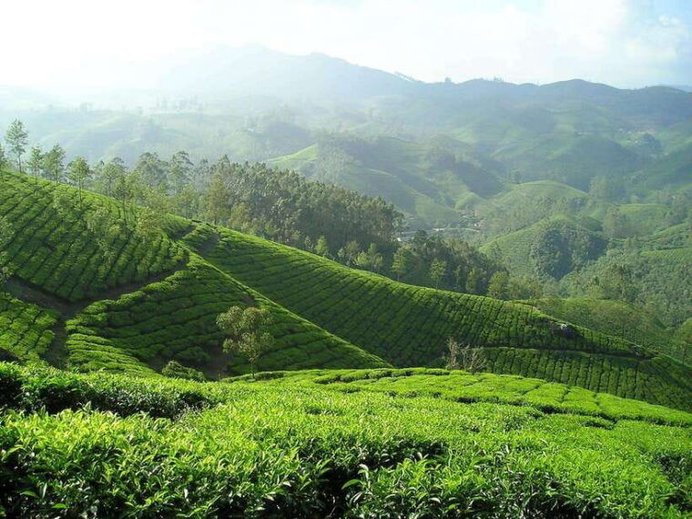 from-colombo-4-day-tour-with-car-guide-meals-hb-hotels