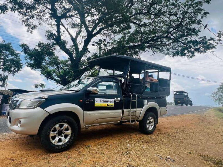 from-colombo-negombo-3-day-tour-to-sigiriya-dambulla