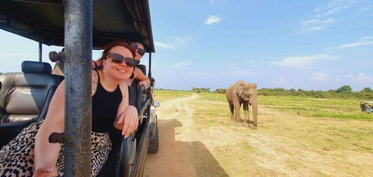 from-colombo-negombo-wilpattu-national-park-4x4-safari-tour