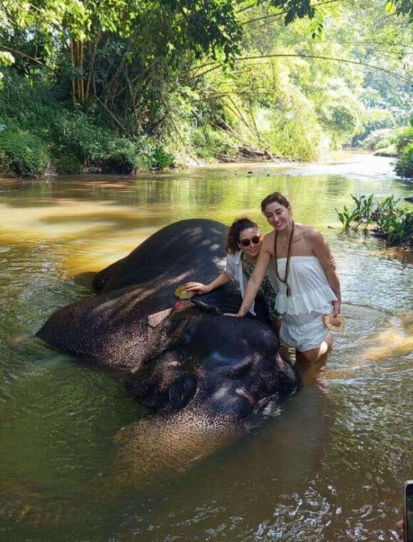 from-colombo-or-negombo-pinnawala-kandy-tea-factory-tour