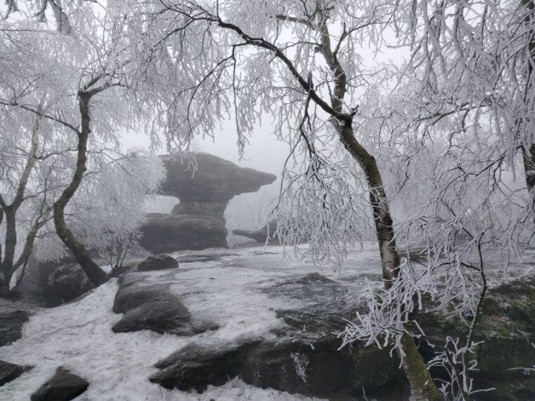 from-dresden-bohemian-saxon-switzerland-day-trip