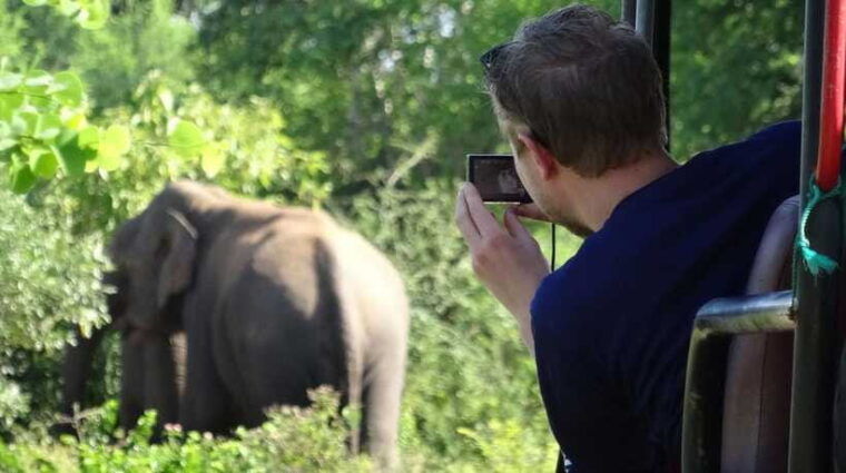 from-ella-2-day-yala-park-safari-transfer-to-beach
