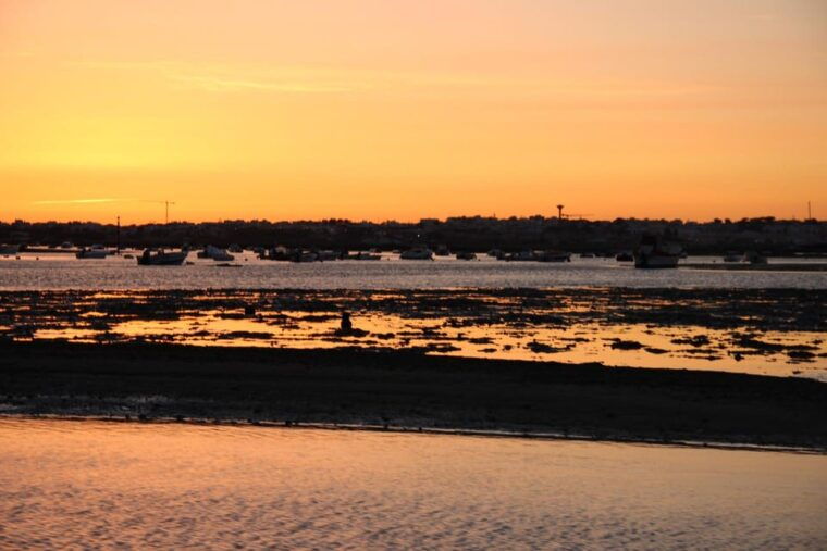 from-faro-ria-formosa-sunset-boat-trip