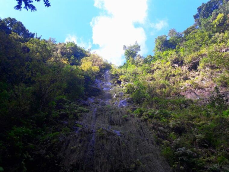 from-funchal-sao-jorge-valleys-levada-walk