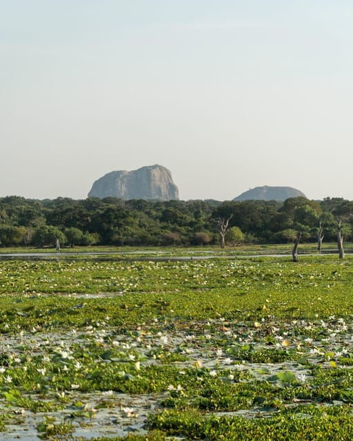 from-galle-mirissa-hikkaduwa-yala-safari-drop-off-ella