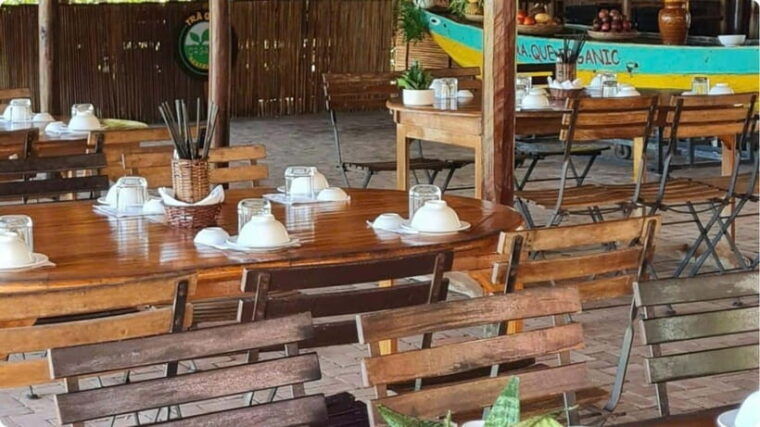 from-garden-to-table-tra-que-farming-tour