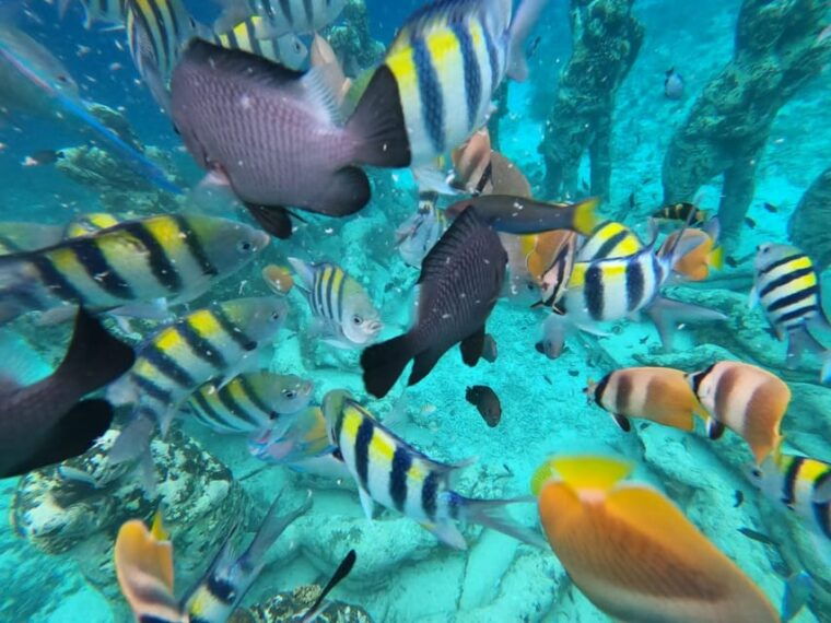 from-gili-trawangan-small-group-sunset-snorkeling-tour