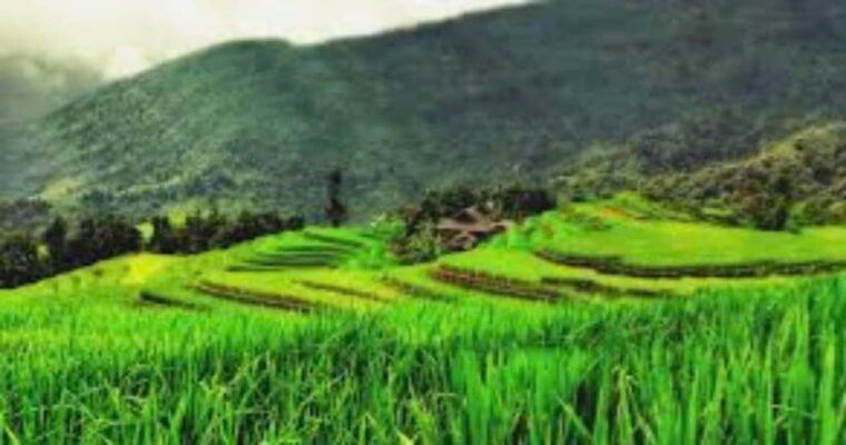 from-hanoi-2-day-ha-thanh-waterfall-and-khuoi-my-village