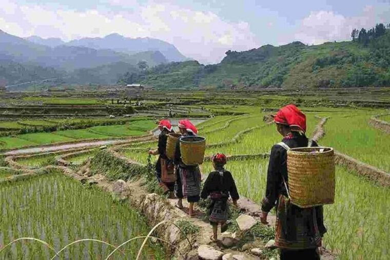 from-hanoi-3-day-sapa-trek-with-guide-homestay-and-meals