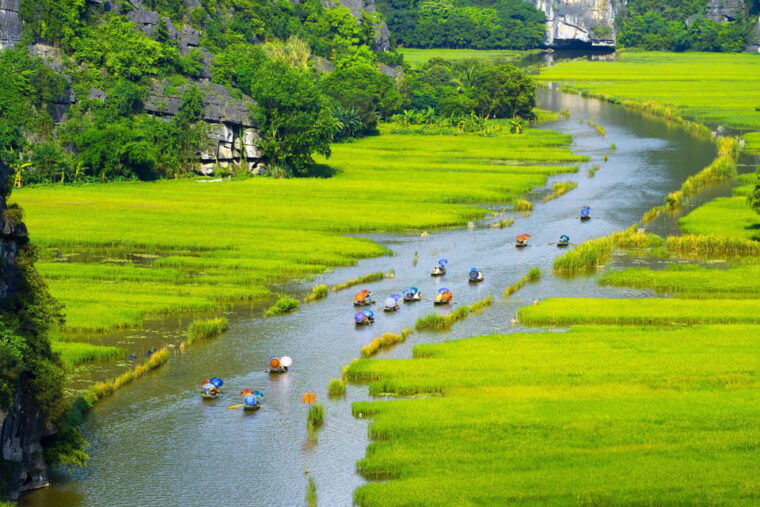 from-hanoi-ninh-binh-day-tour-by-luxury-d-car-max-11-pax