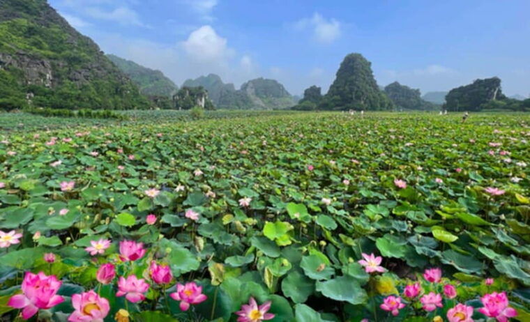from-hanoi-private-tour-bai-dinh-trang-an-and-mua-cave
