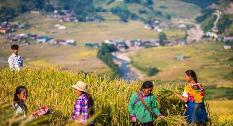 from-hanoi-trek-and-stay-3-day-sapa-highlands-adventure