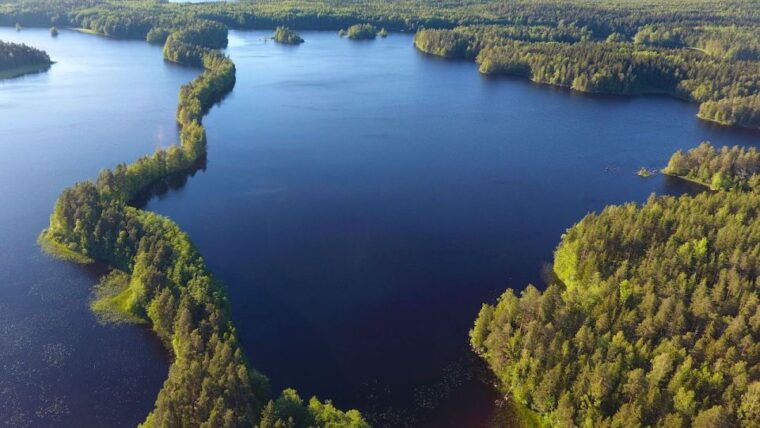 from-helsinki-berry-picking-day-trip-in-a-national-park