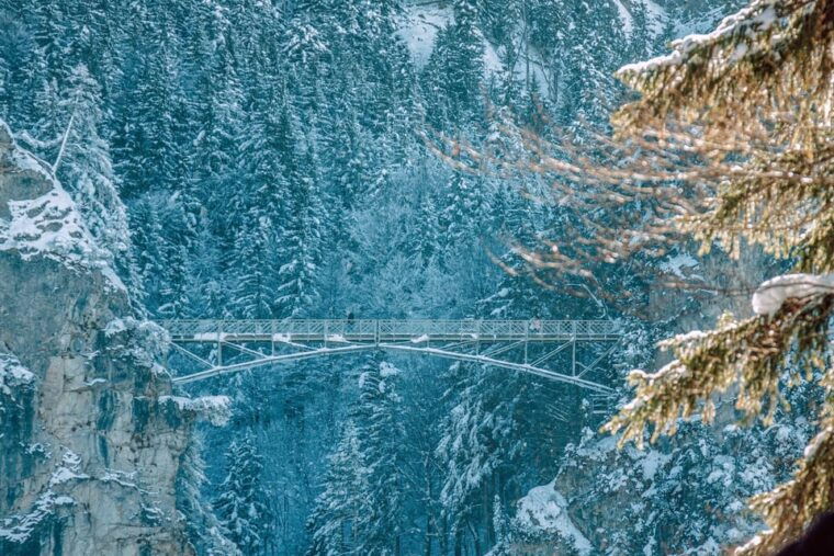 from-hohenschwangau-tour-to-neuschwanstein-castle
