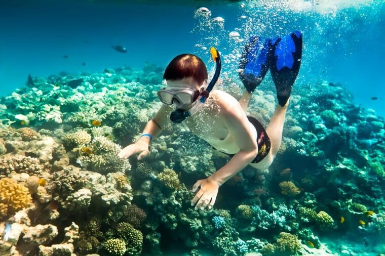 from-hoi-an-da-nang-swimming-snorkeling-in-cham-islands