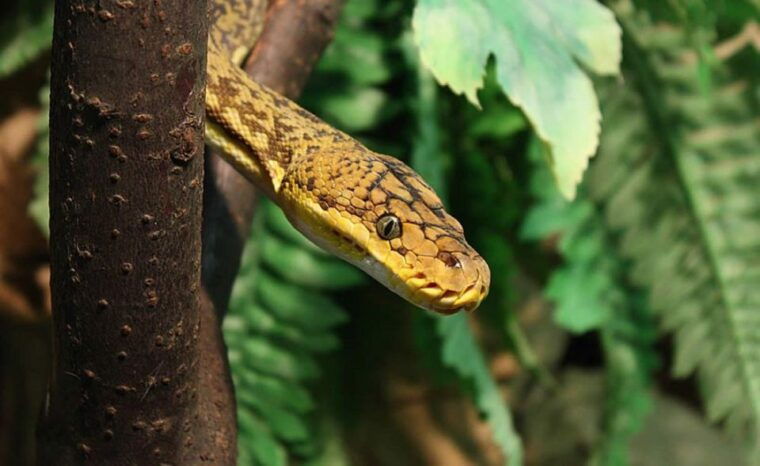 from-iguazu-excursion-to-the-iguazu-biocenter
