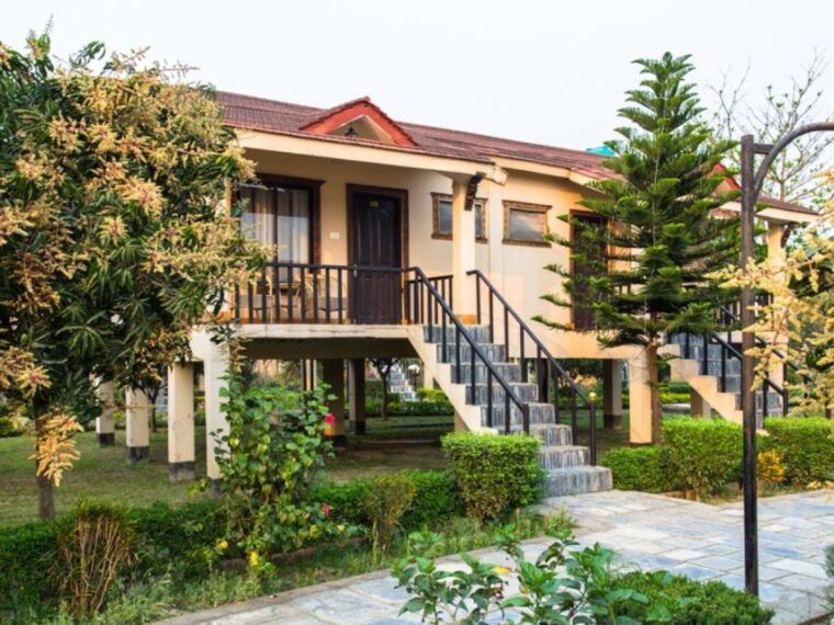 from-kathmandu-3-day-chitwan-national-park-elephants-tour