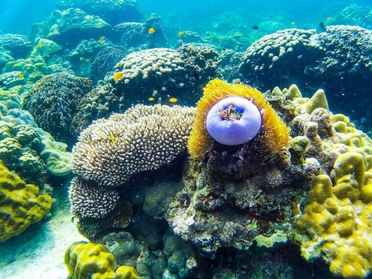 from-krabi-phi-phi-islands-small-group-tour