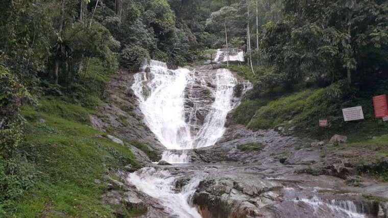 from-kuala-lumpur-cameron-highlands-full-day-tour