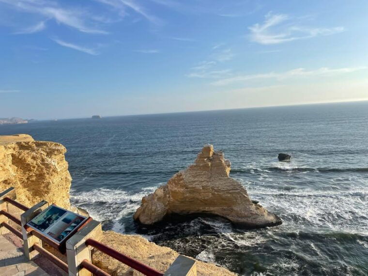 from-lima-full-day-paracas-ica-2