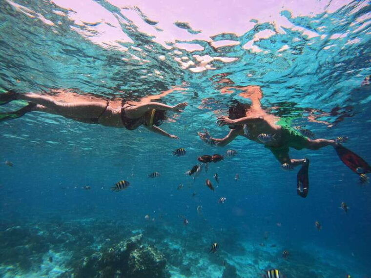 from-lombok-gili-islands-snorkeling-day-trip