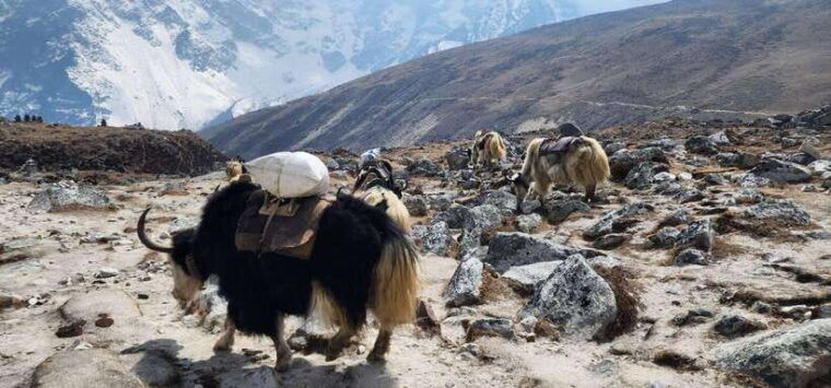 from-lukla-18-day-everest-base-camp-and-gokyo-lakes-trek