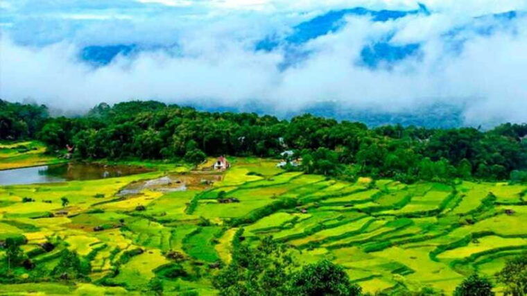 from-makassar-6-day-toraja-experience-tour-with-local-stay