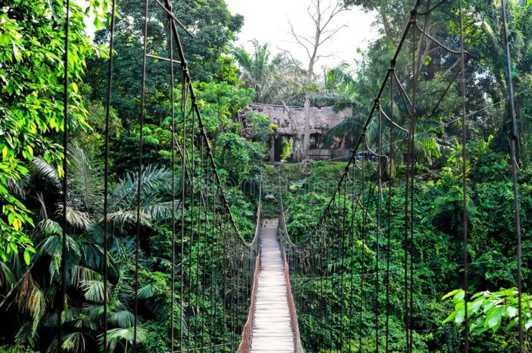 from-medan-mount-leuser-national-park-full-day-trip-2