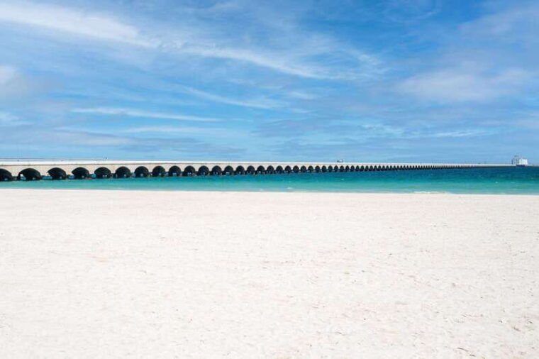 from-merida-swing-island-progreso