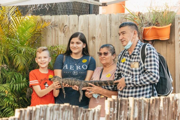 from-miami-everglades-airboat-wildlife-show-bus-transfer