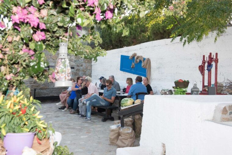 from-mykonos-ano-mera-farm-tour