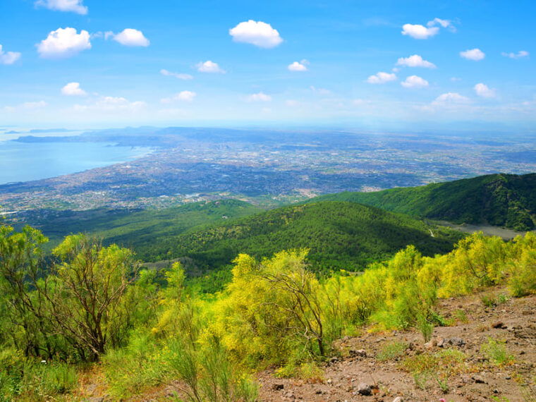 from-naples-port-vesuvius-and-pompeii-tour-with-tickets