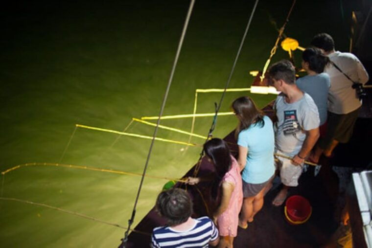from-ninh-binh-2-day-ha-long-bay-phoenix-cruise-small-group